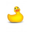 PETIT CANARD VIBRANT