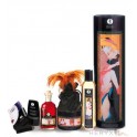 COFFRET DE MASSAGE SHUNGA PLAISIRS CHARNELS APHRODISIAQUE